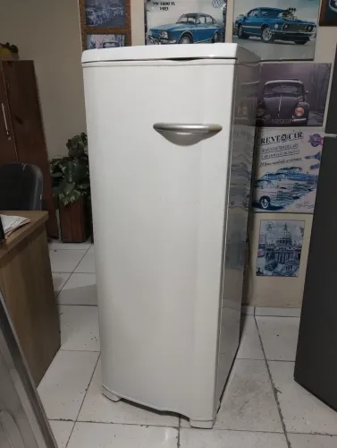 Freezer vertical Electrolux 230 L entrego ler anúncio