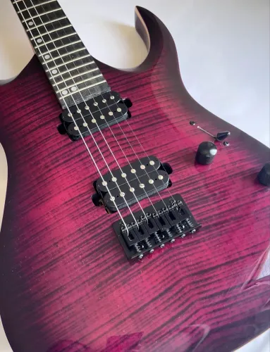 Guitarra Waldman