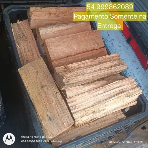 Lenha eucalipto vermelha seca para fogão e lareira