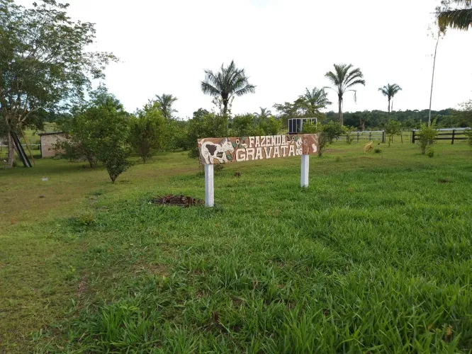 Vende-se fazenda no Cujubim, Caracaraí 