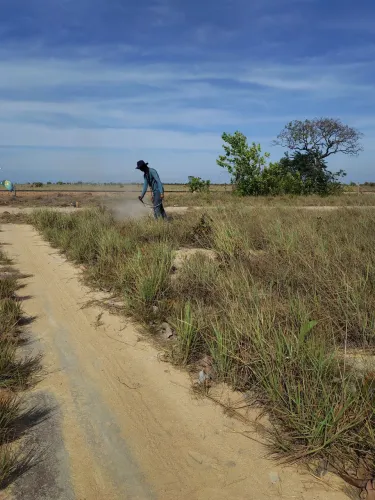 Limpeza , capina e roçagem