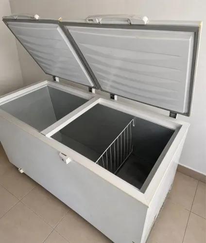 Freezer Electrolux