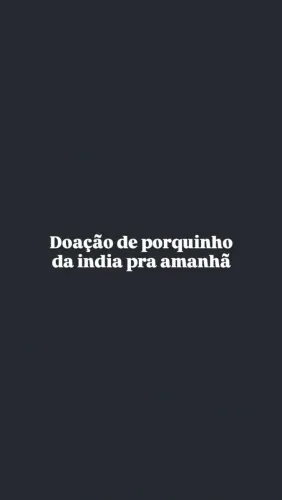 Doação de porquinho da india