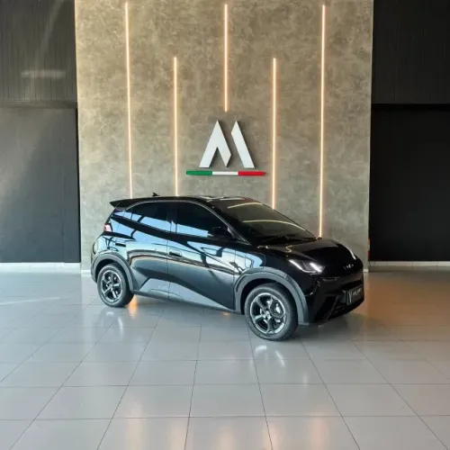 BYD Dolphin Mini (Elétrico) 2025