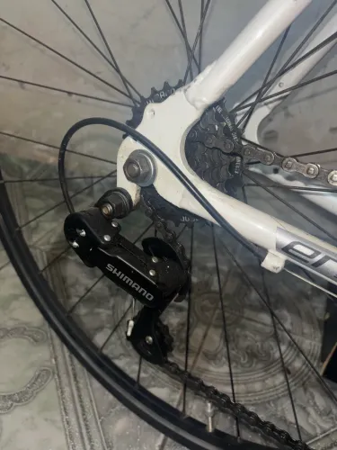 Bicicleta Endorphine Gonew