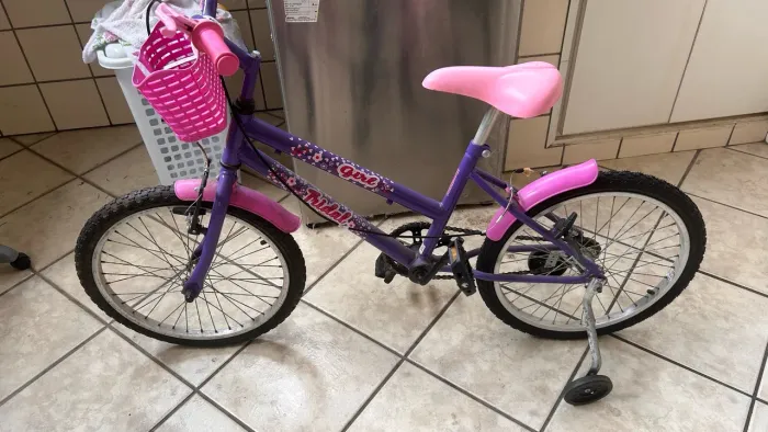 Bicicleta Feminina Infantil Aro 20