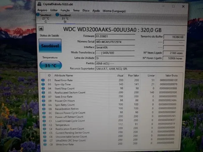 Hd de 320 Gigas com Windows 10 Pro(Saudável/Pouco Usado)