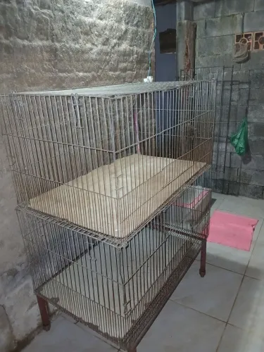 Gaiolas