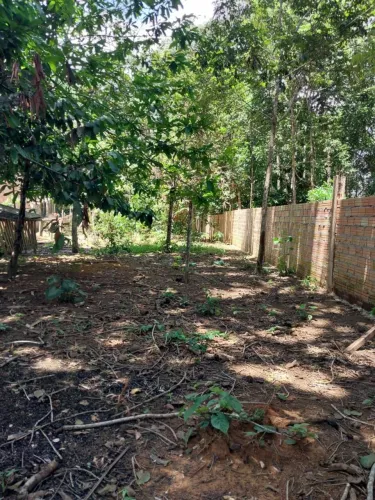 Terreno a venda em Belterra