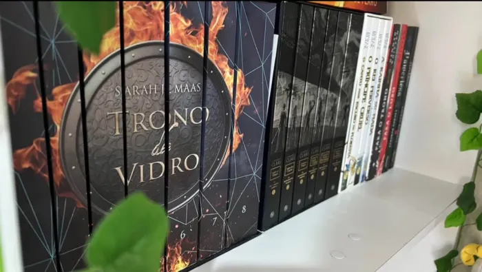Box de Livros Seminovos Variados