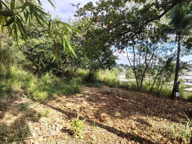 Terreno no jardim primavera
