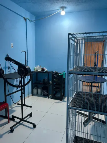 Kit Banho e Tosa Completo