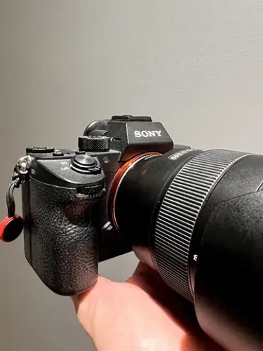 Sony a7r3 + Sony FE 24-105 F4