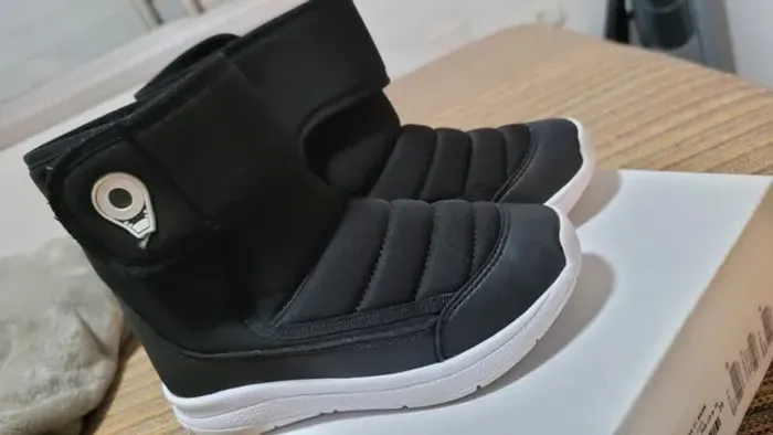 Bota
