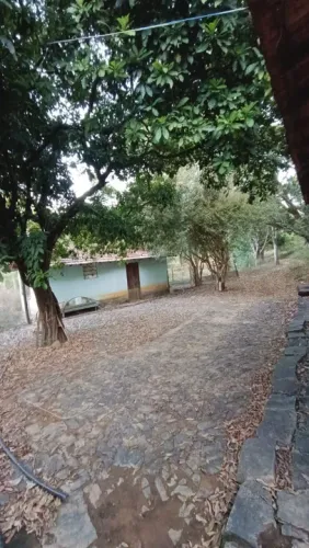 Sítio venda São João Nepomuceno MG.