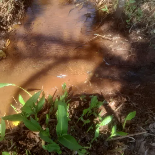 Terreno com água no fundo
