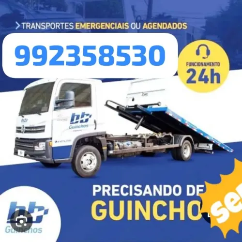 Guincho em samambaia