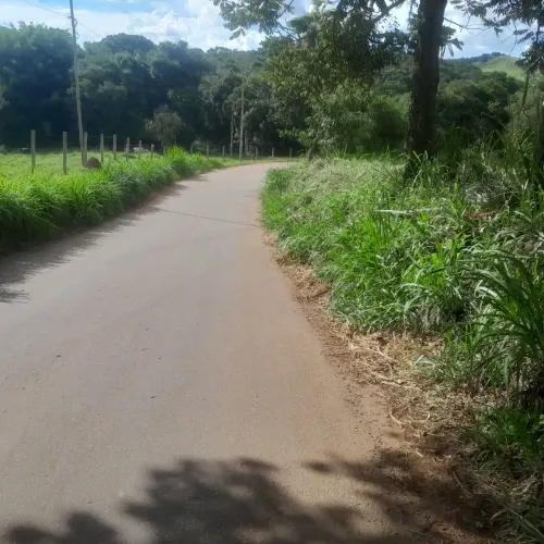 Chacaras no sítio novo
