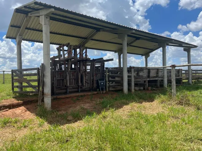 Fazenda à Venda Casa Verde (MS) | 125 Alqueires | R$ 9.000.000