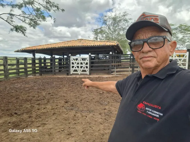 Linda fazenda de, aproximadas, 680t, com casa, curral, rio, margem  Br 116, Santo Estevão