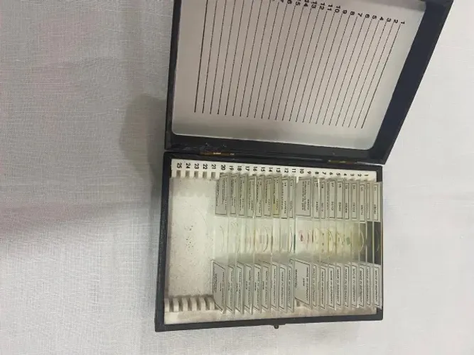 Lâminas Microscópio Citologia