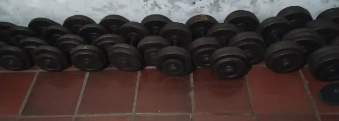 Dumbbell 12kg ao 30kg 
