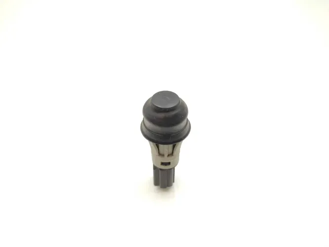 Interruptor Tampa Traseira Renault Clio Sedan 2005 2006 07