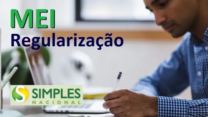Regularização MEI