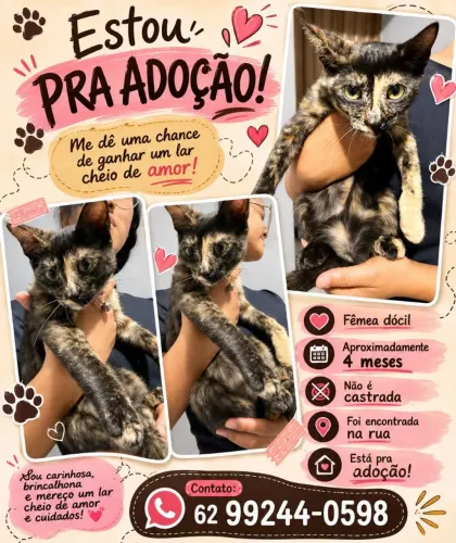 Adoção responsável