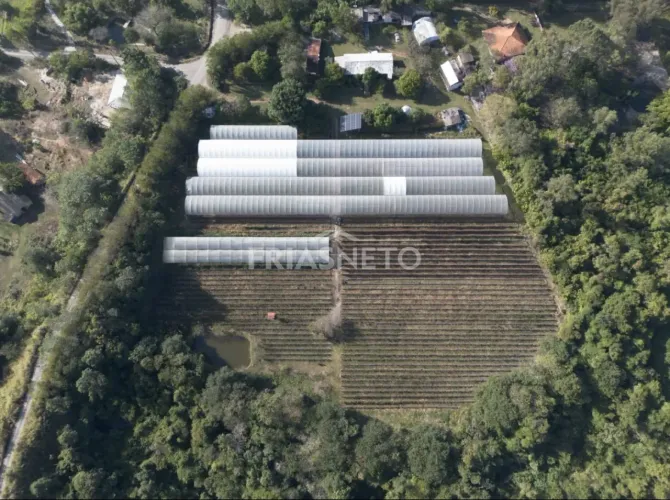 Sitio produtivo à venda em Piracicaba