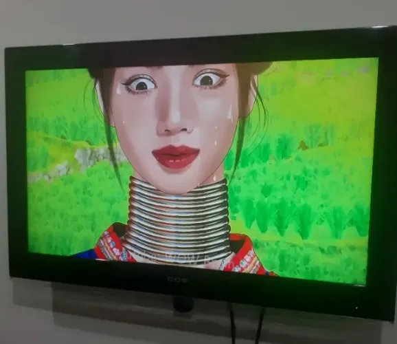 Televisão