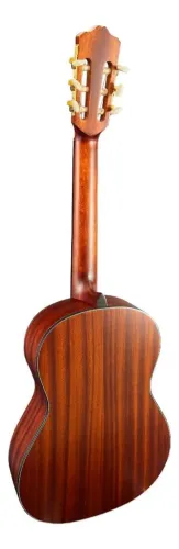 Vendo:Violão-Waldman CLEX 1000 N Tampo Sólido Spruce Lateral fundo Sapele Elétrico