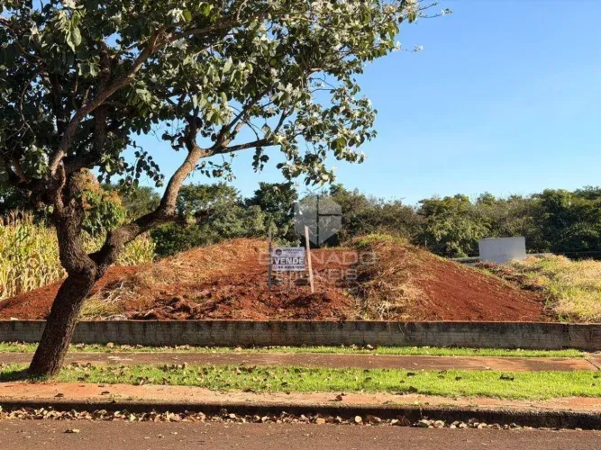 Terreno à venda, 444 m² por R$ 290.000,00 - Jardim Dias II - Maringá/PR
