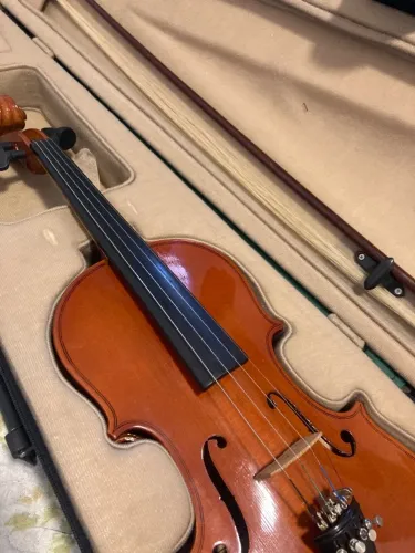Violino