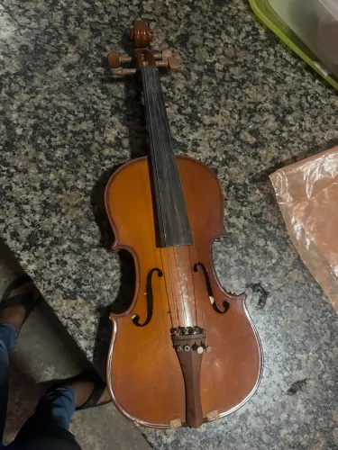 Violino