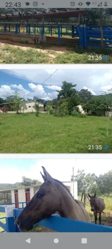 Oportunidade! ÓTIMA FAZENDA EM BURITIS MG - 46 HECTARES - MUITA ÁGUA, PLANA, SEDE.