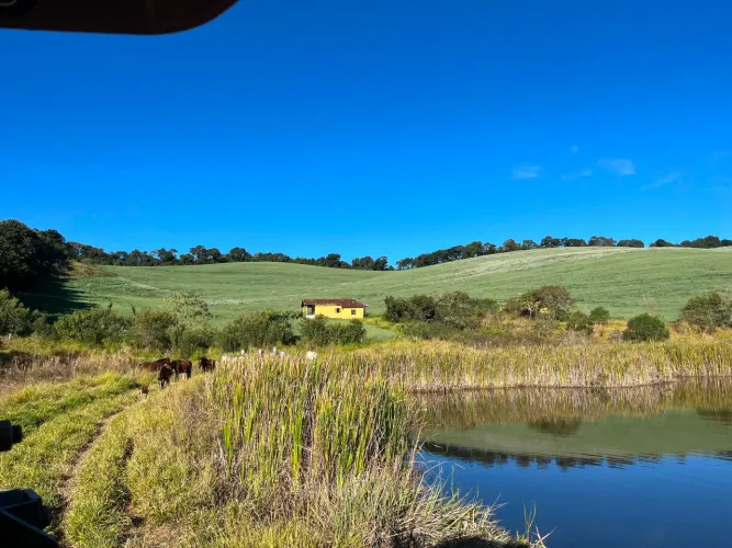 Fazenda soja e gado