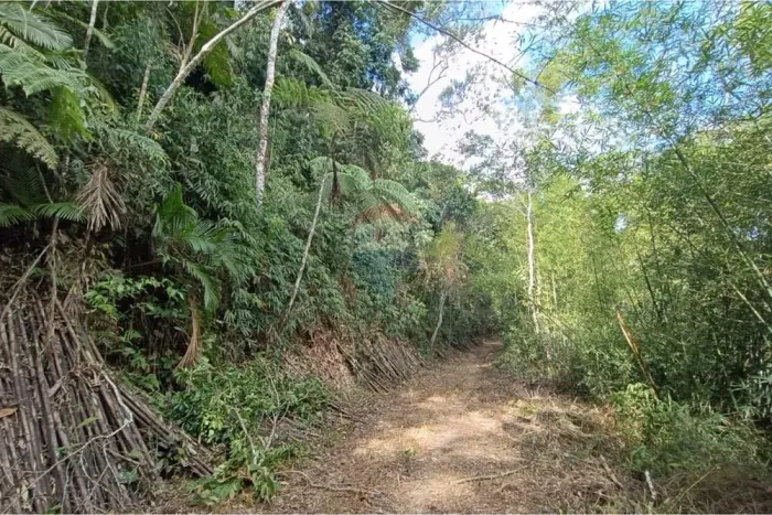 Terreno de 682 m² no Condomínio Floresta das Canoas  Excelente Oportunidade em Boa Fé