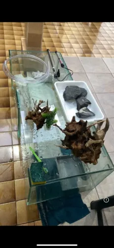 Aquário 