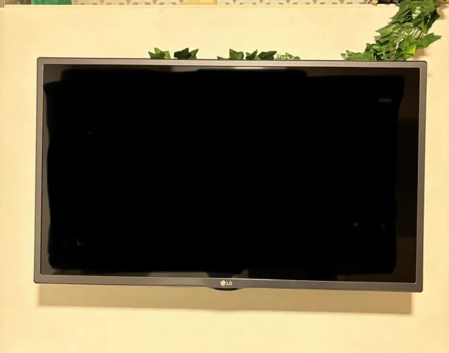 TV LG 32 polegadas