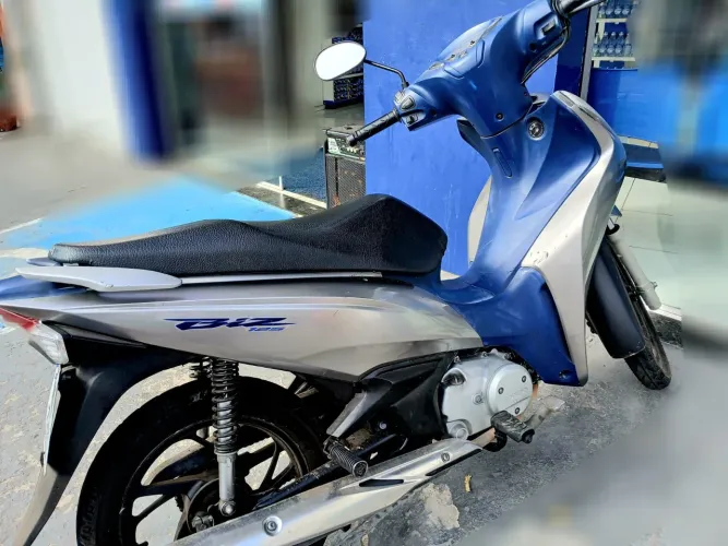 Pra vender logo única dona em dias no ponto de transferir