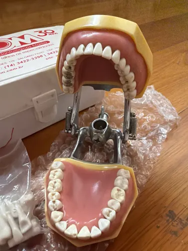 Kit Manequim Odontológico MOM - Dentística + Prótese Total + Refil De Dentes