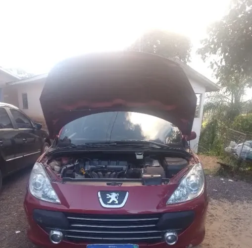 Peugeot 307 Feline/griff/premi. 2.0 Flex 5P Aut. 2007