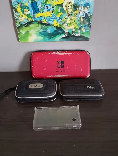 Case Nintendo 