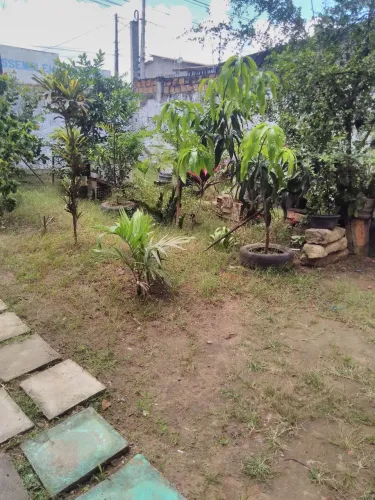 Terreno comercial