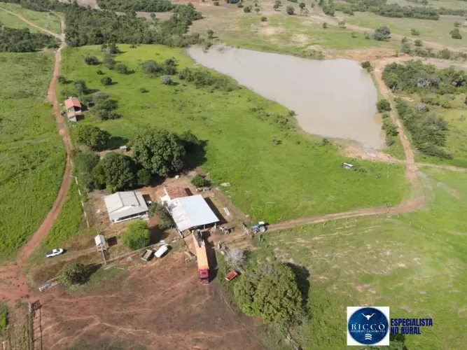 Fazenda à Venda no Tocantins | 1.043 Alqueires | Porteira Fechada