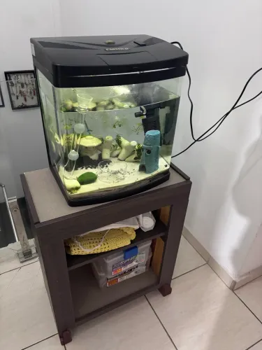 Aquário com móvel 47 litros