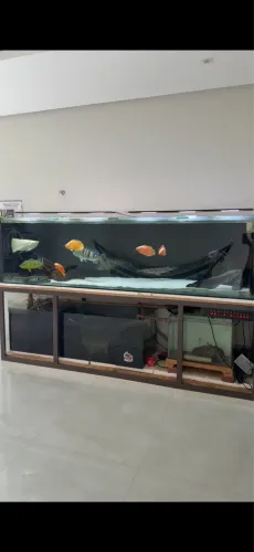 Vendo aquario