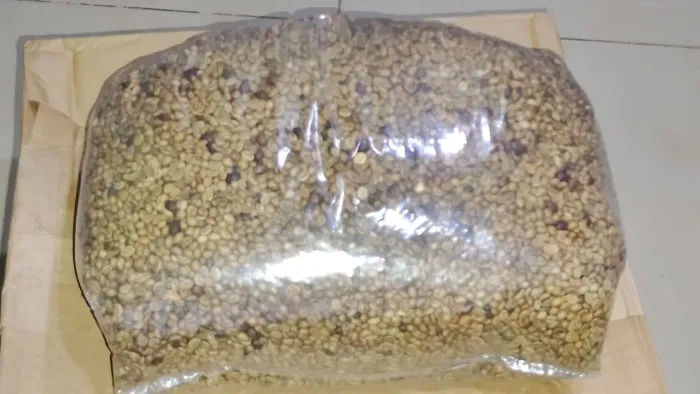 Café Robusta em Grãos Cru