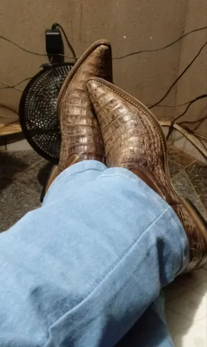 botas goyazes 